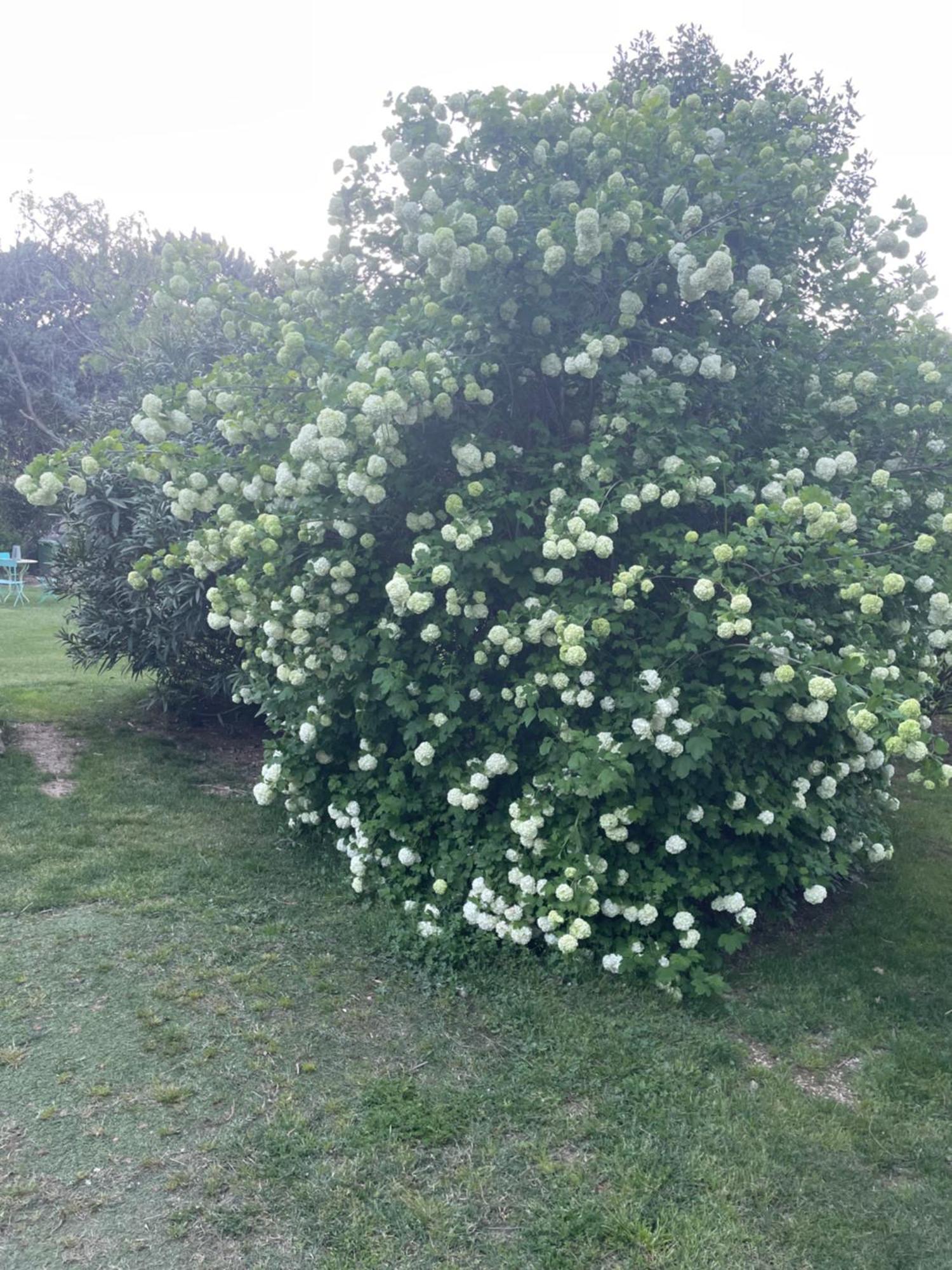 Gites Le Pimayon Manosque Ngoại thất bức ảnh
