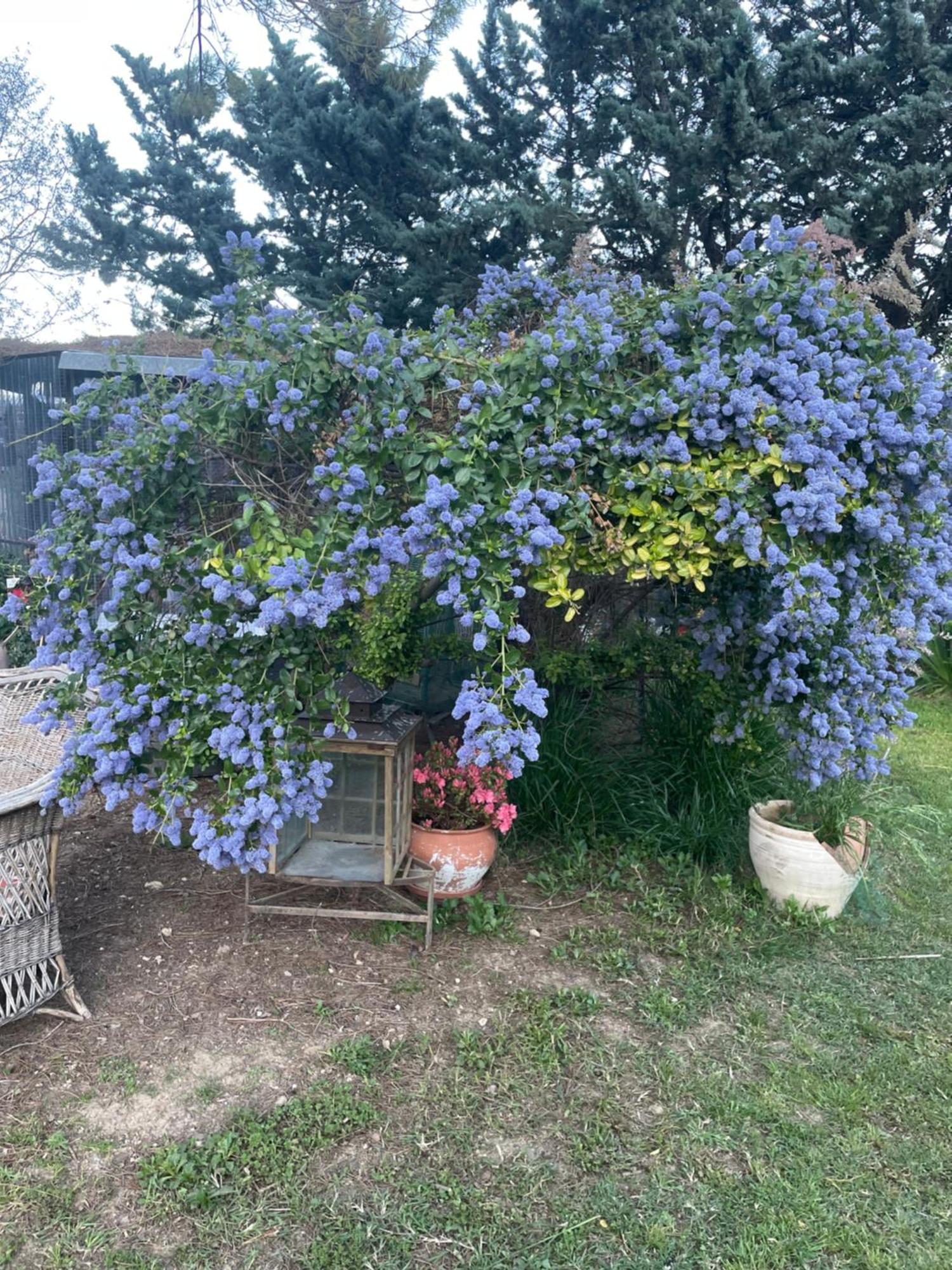 Gites Le Pimayon Manosque Ngoại thất bức ảnh