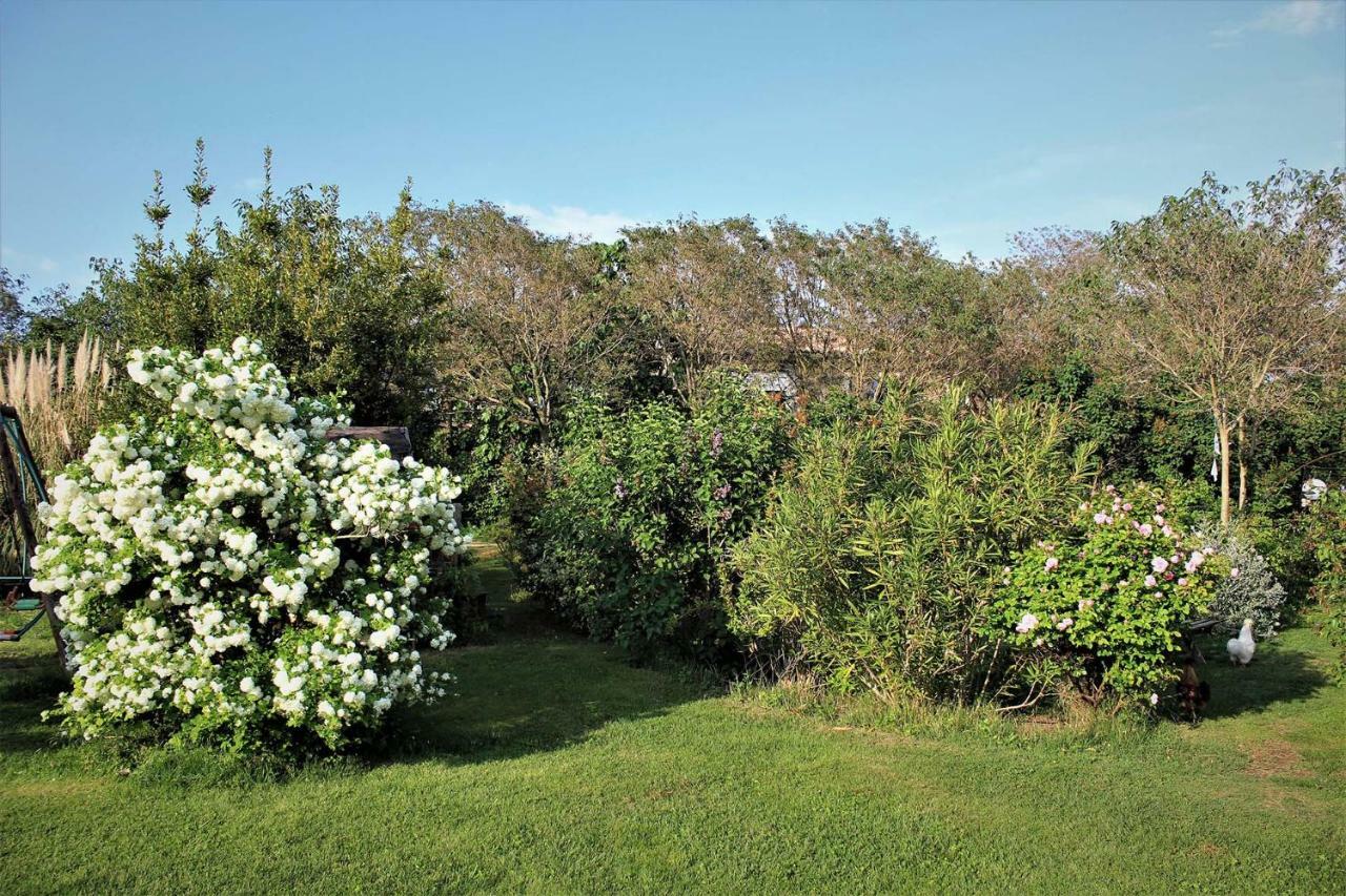 Gites Le Pimayon Manosque Ngoại thất bức ảnh